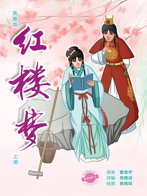 Cover image for 青春版红楼梦